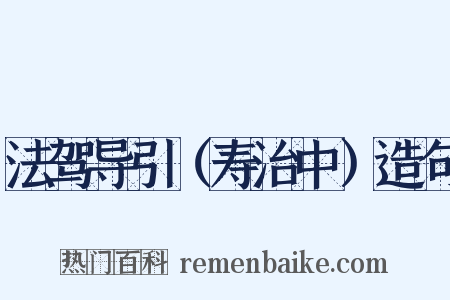 法驾导引（寿治中）造句是什么意思的图片